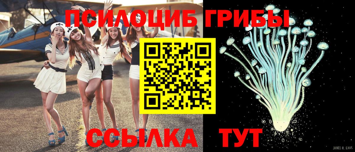 Симферополь  Галлюциногенные грибы Cubensis  Псилоцибиновые грибы Cubensis  Вход с VPN 