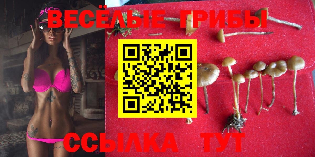 Галлюциногенные грибы Magic Shrooms Симферополь